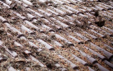 Preston Plucknett roof cleaning companies