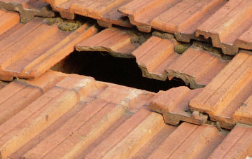roof repair Preston Plucknett, Somerset