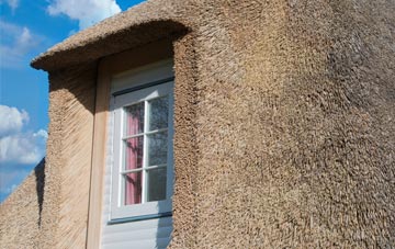 Preston Plucknett thatch roof disadvantages