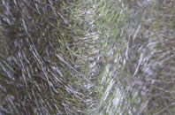 Preston Plucknett fibreglass roof work